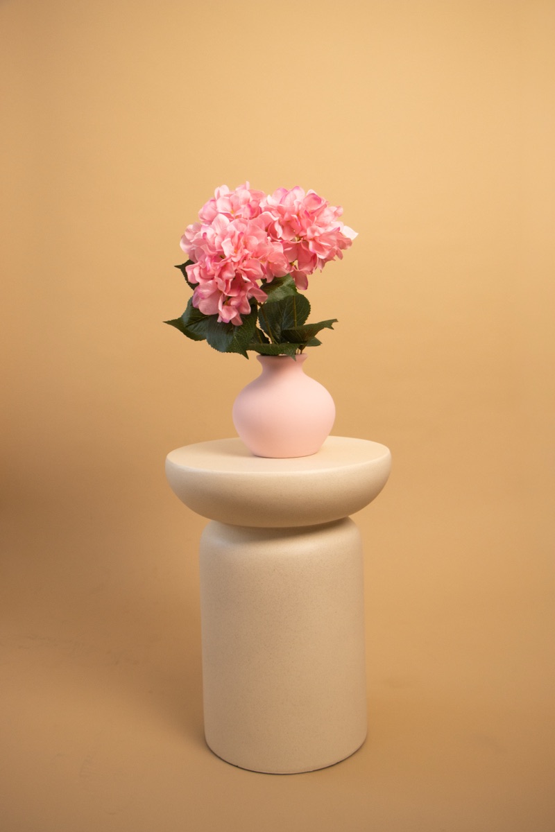 Pink hortenzia bézs vázában, cappuccino Colorama háttéren